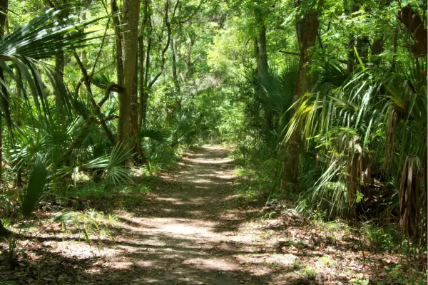 Técnicas de Meditação para Viver na “Selva” Urbana