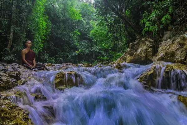 Meditação como Guia para uma Vida Urbana Consciente