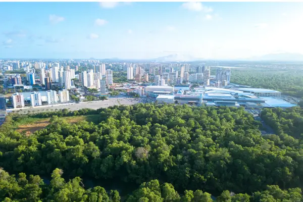 Dinamismo da Cidade e Serenidade: A Arte da Consciência